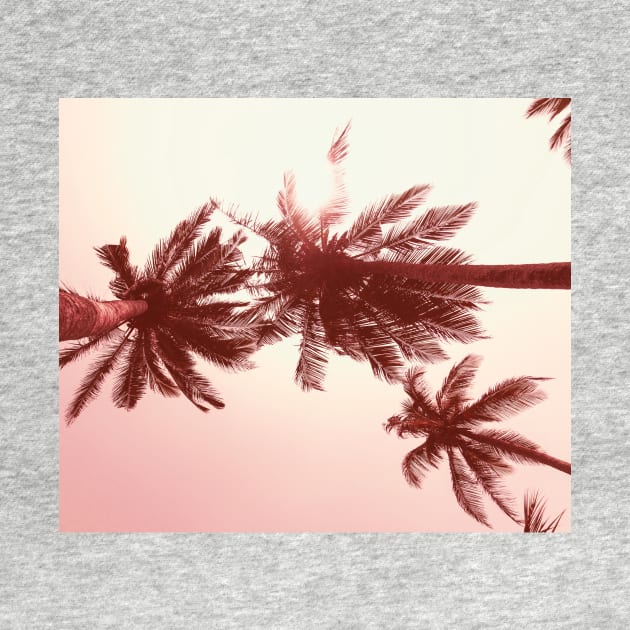 Palmtree pink by ColorsHappiness